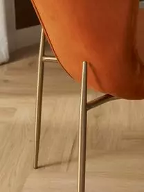 ICONS By Westwing Collection Samt-Polsterstuhl Tess Von Chris Glass 6 ICONS By Westwing Collection Samt-Polsterstuhl Tess Von Chris Glass – Bild 4